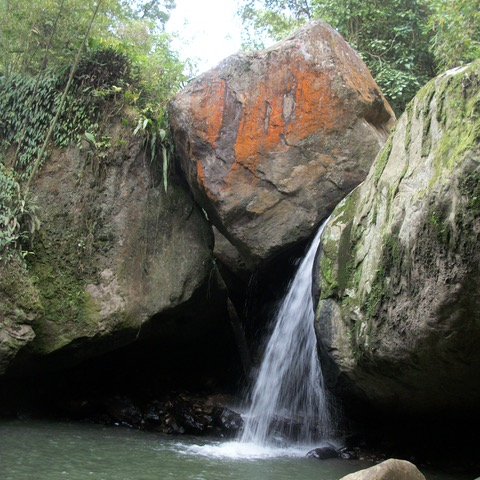 imagen de referencia